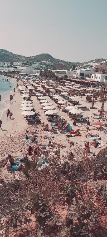 Demis Mykonos Stay 2 Platys Gialos  Cameră foto